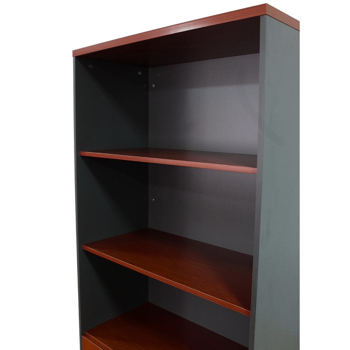 Gabinete archivador de 5 Niveles con Puertas