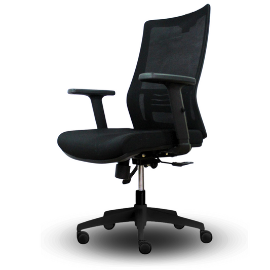Silla Ergonómica Ergo Plus Nylon Sin Cabecera -Cod-3027B-